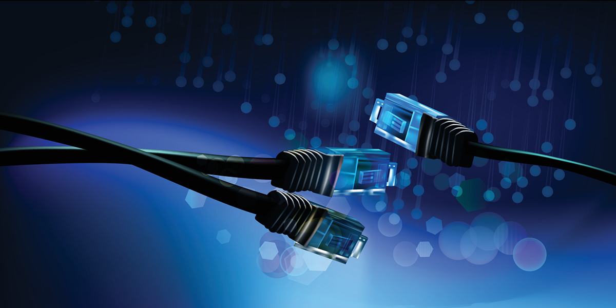 Network Cable